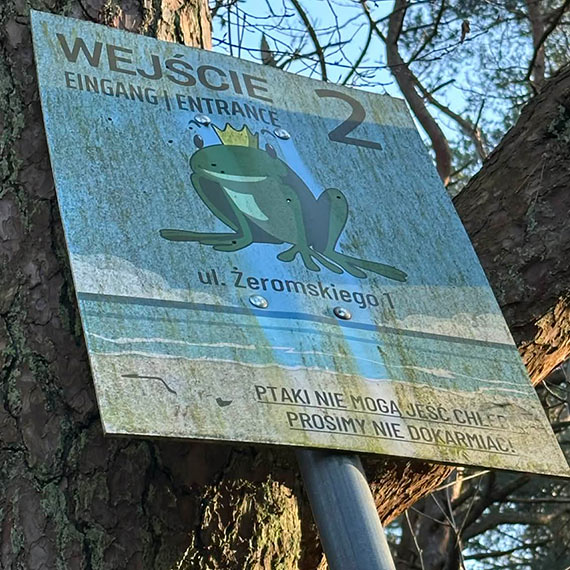 Kto poca�uje �abk�? Tablica z �eromskiego szuka swojego ksi�cia