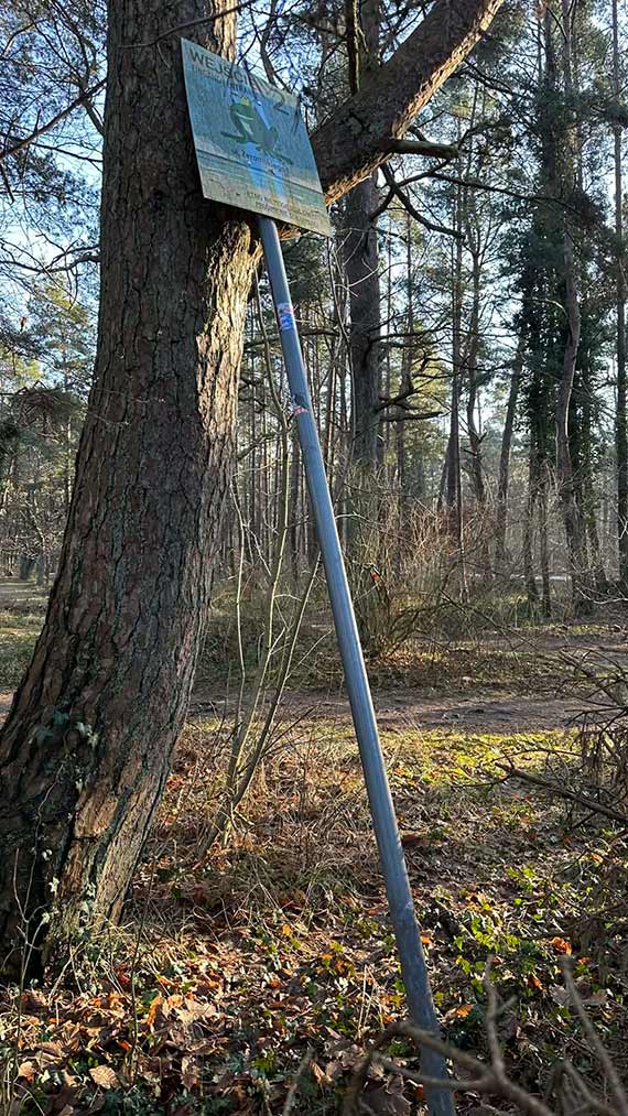 Kto pocałuje żabkę? Tablica z Żeromskiego szuka swojego księcia