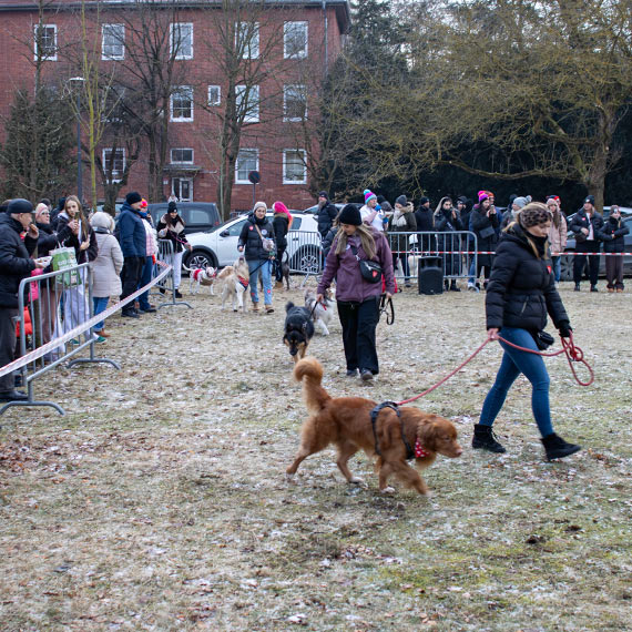 Mieszka�cy oczarowani skal� wydarze�! Tak pulsuje �winoujskie serce WO�P w fina�ow� niedziel�