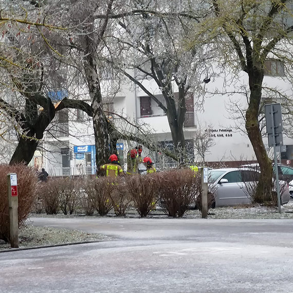 Lód łamie drzewa. Duża gałąź runęła na osiedlu Platan