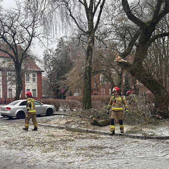 �liskie chodniki, sople - dbajmy o bezpiecze�stwo w swojej okolicy