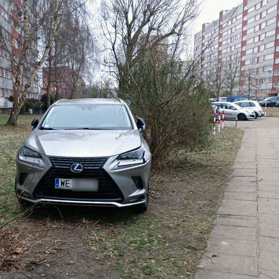 Lexus na trawniku i ponad dwa promile alkoholu. Policja zatrzymała 35-latka