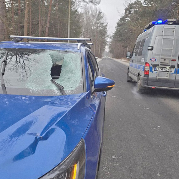 Tafla lodu spadła na przednią szybę samochodu - kierujący ukarany wysokim mandatem
