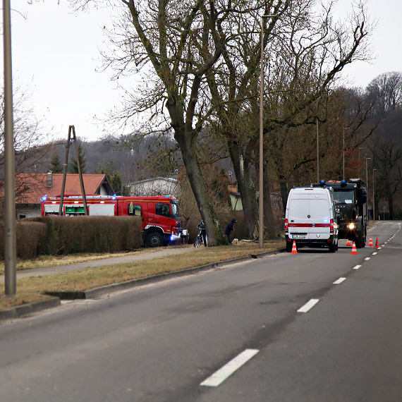 Po�ar domku letniskowego przy ulicy Krzywej. 12 stra�ak�w w akcji