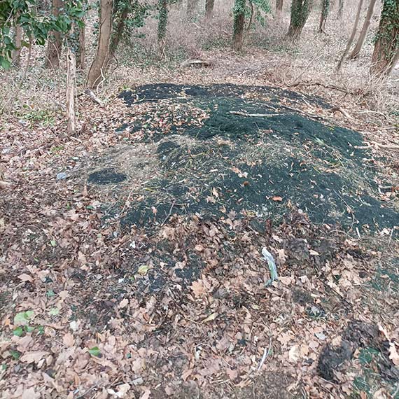 Gumowy szrot z boiska w lasku za hal� tenisow�? Mieszkaniec alarmuje o niepokoj�cym znalezisku