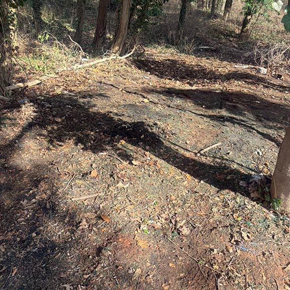 Granulat w lasku przy Matejki. OSiR t�umaczy: to efekt zimowego od�nie�ania boiska