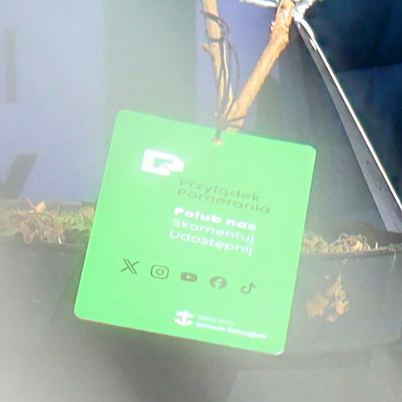 Sadzonki za u�miech, teren za kontenery. Czy �winouj�cie w�a�nie daje si� „kupi�” za zielon� akcj�?