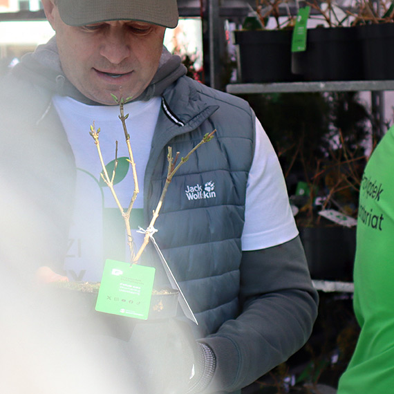 Sadzonki za u�miech, teren za kontenery. Czy �winouj�cie w�a�nie daje si� „kupi�” za zielon� akcj�?