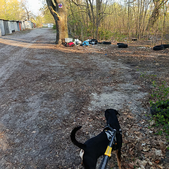 Nielegalne wysypisko przy gara�ach na ul. Steyera. Mieszka�cy maj� do��