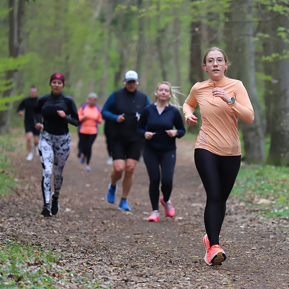 Wietrznie na 445. parkrunie 