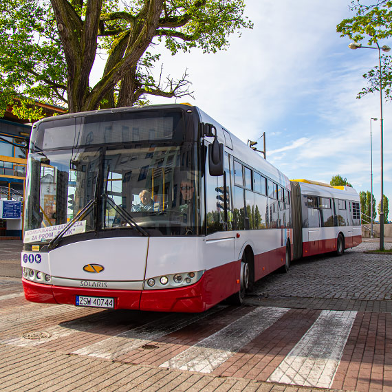 Świnoujście ma pierwszy autobus przegubowy. Gigant już wozi pasażerów przy Bielikach