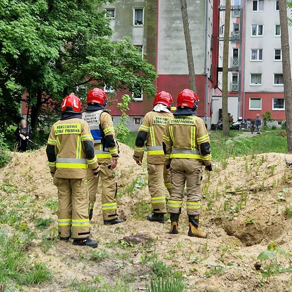 Pszczo�y przy ul. Krzywej. Na miejsce wezwano stra�ak�w i pszczelarza