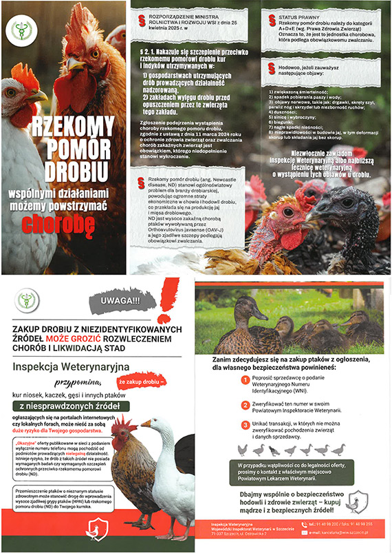Uwaga na dr�b z nieznanego �r�d�a. Inspekcja Weterynaryjna ostrzega hodowc�w i Mieszka�c�w