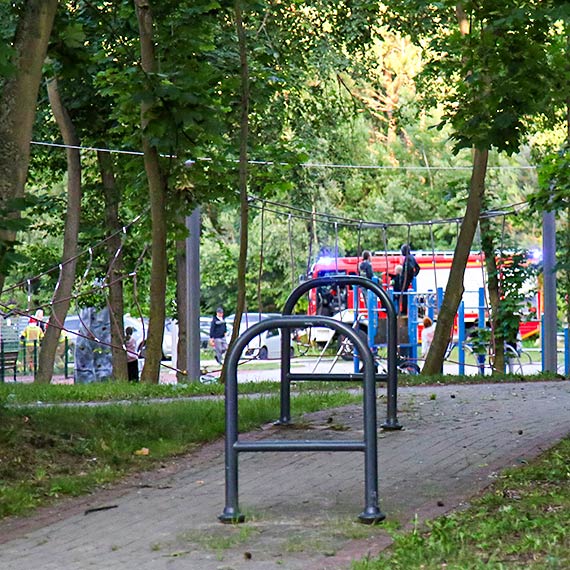 Osy opanowa�y plac zabaw przy Grunwaldzkiej. Interweniowa�a stra� po�arna