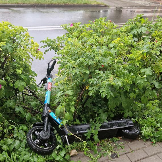 Porzucone hulajnogi szpecą miasto. Czas wreszcie zrobić z tym porządek