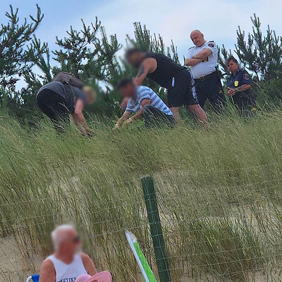 Grillowali i biwakowali na wydmach. Stra� Miejska interweniowa�a przy wej�ciu od ul. Orkana