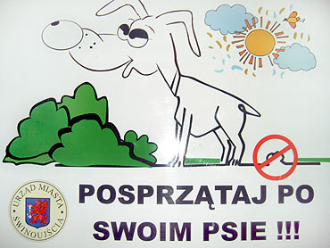 Posprztaj po swoim psie!