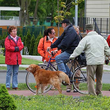 Trasa rowerowa jak chodnik