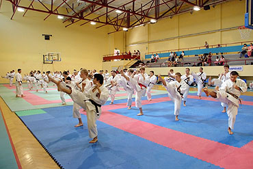 IV Midzynarodowe Seminarium Karate